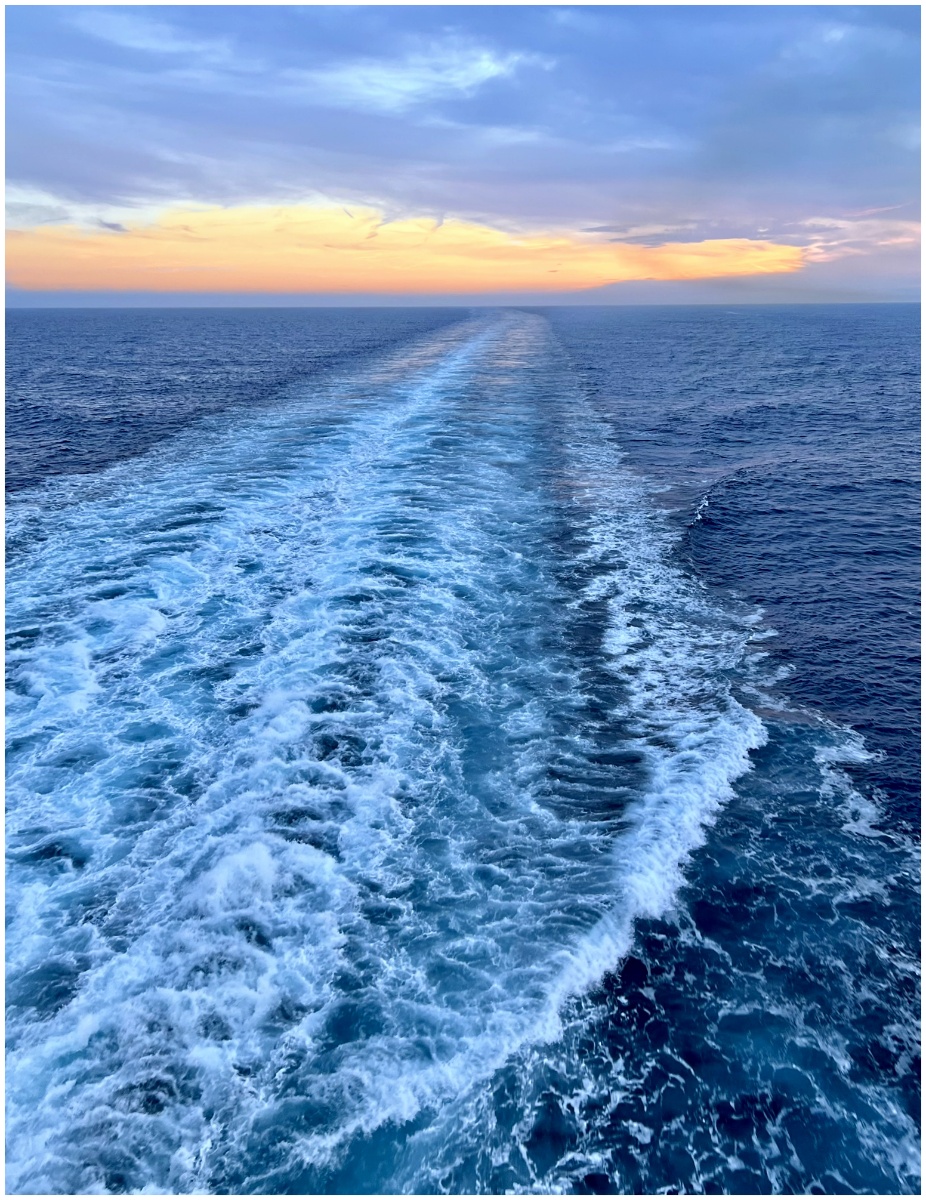 Gennarelli Joseph Wake to the Sunrise AssignedSubject   Motion Photography 20251008